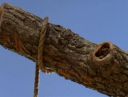 magnificent7_101_103.jpg