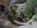 magnificent7_101_461.jpg